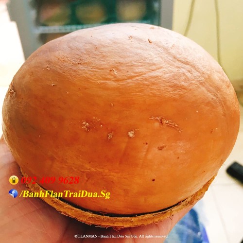 Bánh Flan Rau Câu Trái Dừa vị Truyền Thống size to