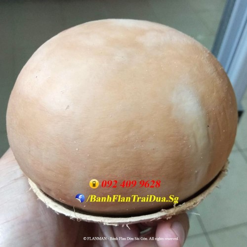 Bánh Flan Rau Câu Trái Dừa vị Trà xanh size to