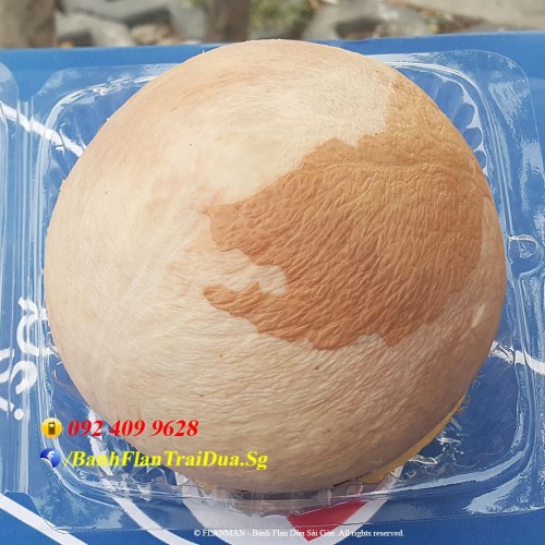 Bánh Flan Rau Câu Trái Dừa vị Cacao size vừa