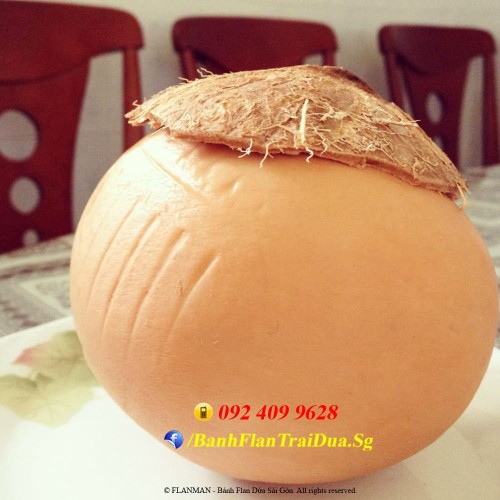 Bánh Flan Rau Câu Trái Dừa vị Sầu Riêng